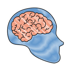 human profile with brain vector illustration design