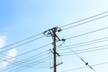 Under the sky, trees near the poles