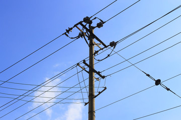 Under the sky, trees near the poles