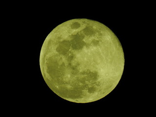 Obraz premium 満月の夜