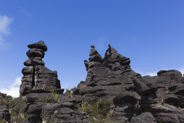 Fototapeta na wymiar Rock formations, Kukenan Tepui near Mount Roraima, Canaima National Park.