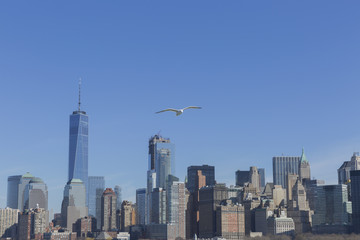 Fototapeta premium New York City, USA.