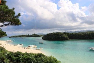 Fototapeta premium 写真