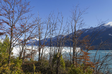 Perito Moreno Glacier near El Calafate In Argentina.
