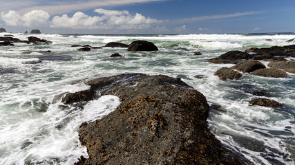 Pacific Northwest Coast