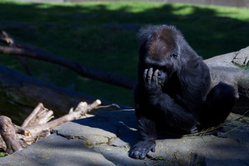 Read Between The Lines