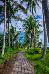 Obraz premium Balinese Greenery