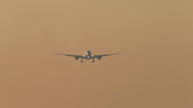 京浜島つばさ公園〜旅客機の着陸#1