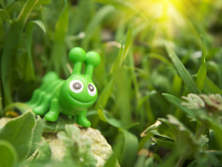 Toy caterpillar in grass.