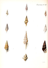 Illustration of sinks.