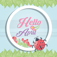 Hello april design with decorative frame and beautiful bug icon over blue background, colorful design vector illustration