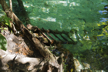 Jalapao State Park in Tocantins Brazil - Cachoeira da Formiga.