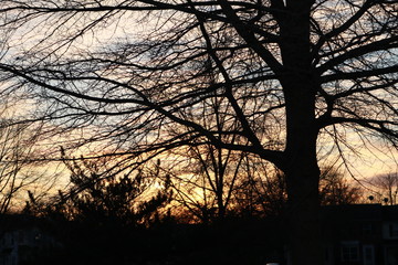 atardecer