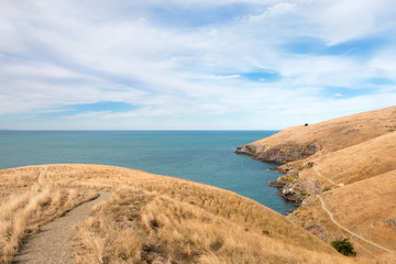 Godley Head walking track, Christchurch, New Zealand