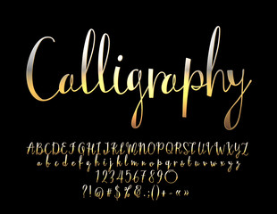 Vector beautiful Gold Calligraphy Alphabet. Set of Elegant Letter, Numbers and Symbols