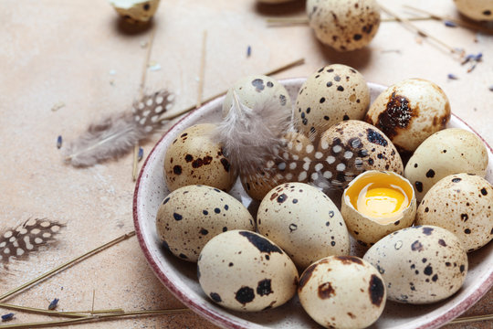 Plate with quail eggs decorated with feather. Organic food. Rustic style.