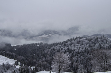 Zimowa panorama Pieniny 