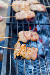 Thai style pork grilled