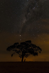 Fototapeta na wymiar Starry Night In Senges, Brazil.