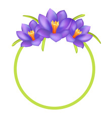 Crocus Purple Flowers Photo Frame Greeting Design