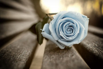 Amor eterno