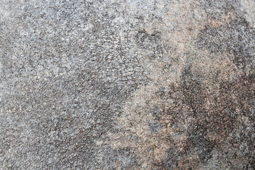 Grunge cement texture background . Gray color . Abstract concept