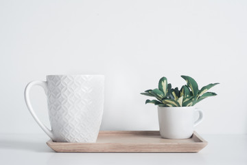 Tiny cup with yellow-green leaves on bamboo tray