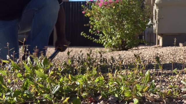 African American Male doing yard work, cutting weeds and trees in rocks