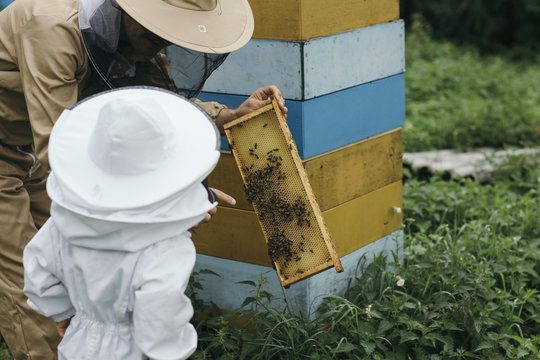 beekeepers 