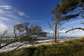 Fototapeta premium Lichtstimmung am Abend am Darßer Weststrand