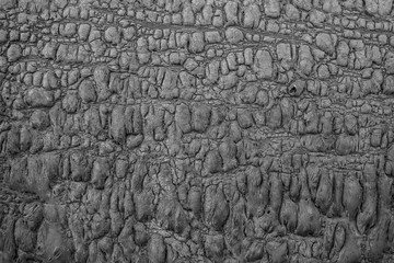 Verbranntes Holz Textur.