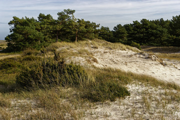Darßer Ort am Darßer Weststrand, Nationalpark Vorpommersche Boddenlandschaft, Mecklenburg Vorpommern, Deutschland
