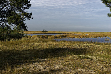 Dar&szlig;er Ort am Dar&szlig;er Weststrand, Nationalpark Vorpommersche Boddenlandschaft, Mecklenburg Vorpommern, Deutschland