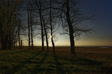 Fototapeta na wymiar Lichtstimmung am Grabower Bodden bei Nisdorf am Abend, Nationalpark Vorpommersche Boddenlandschaft, Mecklenburg-Vorpommern, Deutschland
