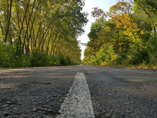 Road from Voronezh to Rostov on Don