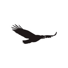 eagle silhouette vector