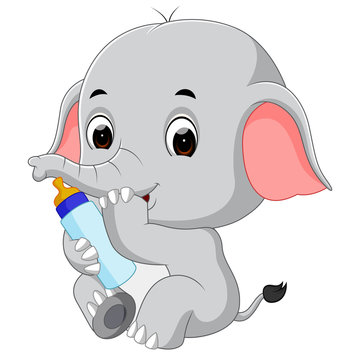 baby elephant with milk bottle