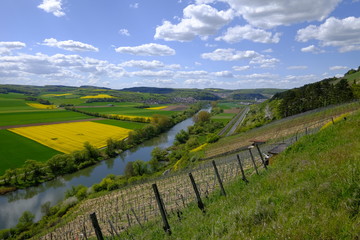 Fototapeta na wymiar Landschaft und Weinberge bei Stetten, Landkreis Main-Spessart, Unterfranken, Bayern, Deutschland
