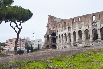 Obraz premium Colosseum of Rome, Italy. exterior view