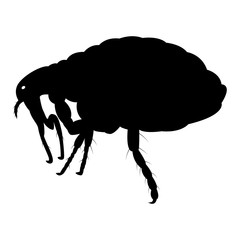 Vector image of flea silhouette