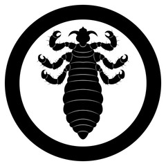 Vector image of silhouette of lice