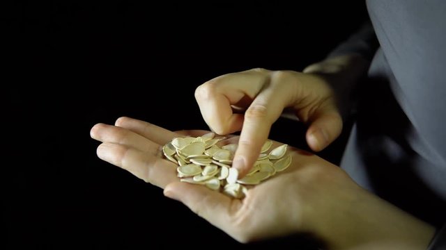 Close-up of human fingers move a handful of seeds of pumpkin in hand on a black background, preparing for sowing.