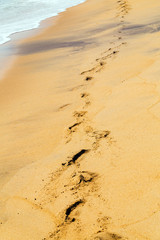 Footprints in the sand beach road in dune