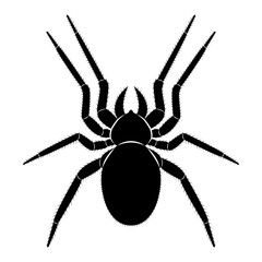 Vector image of spider silhouette