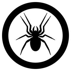 Vector image of spider silhouette
