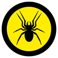 Vector image of spider silhouette