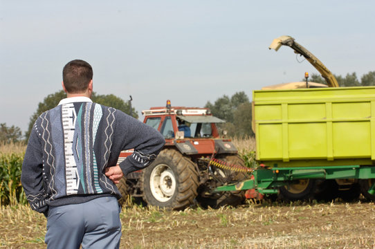 Agriculture ferme mais recolte cereales nourriture betail automne tracteur fermier campagne sillo