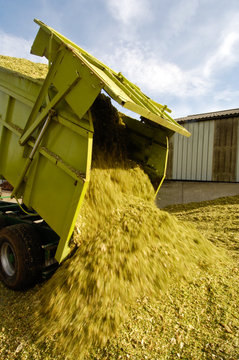  Agriculture ferme mais recolte cereales nourriture betail automne tracteur fermier campagne sillo