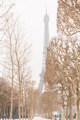 Les jardins de la Tour Eiffel 