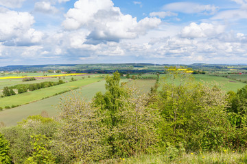 Fototapeta na wymiar View of the fields in a rural summer landscape